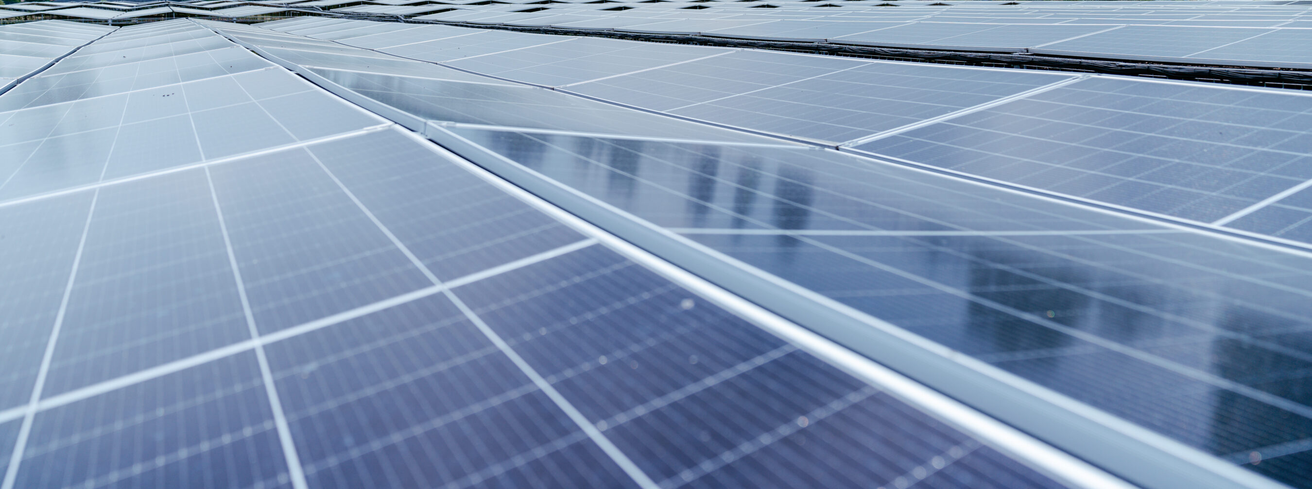 Dein Partner für Bitcoin Mining | terahash